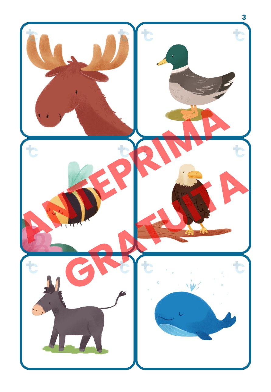 Pagina di esempio — Le carte di Training Cognitivo 1: Animali